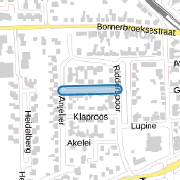 Korenbloem
