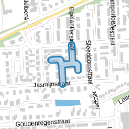 Ligusterstraat
