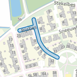 Rijsbes