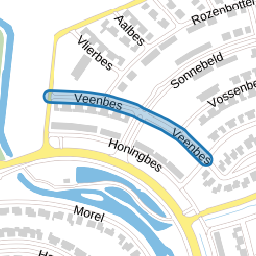 Veenbes