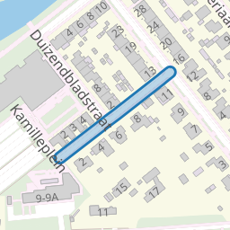 Longkruidstraat