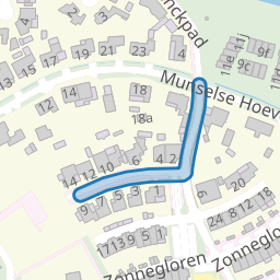 Zonnegoud