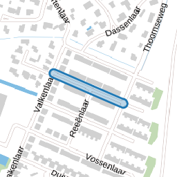 Bosmuizenlaar