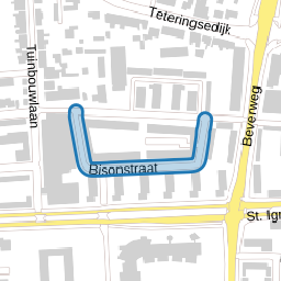 Bisonstraat