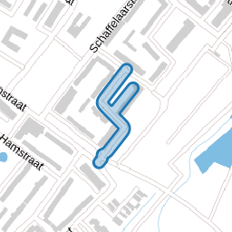 Bronkhorststraat