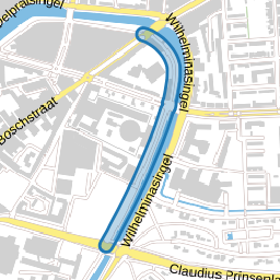 Nassausingel