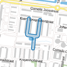 Willem van Kesselstraat