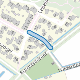 Zilvermeeuw