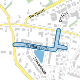 Lavendelheide
