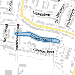 Tongerloodreef