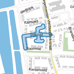Pijlkruid