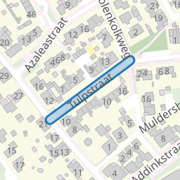 Tulpstraat
