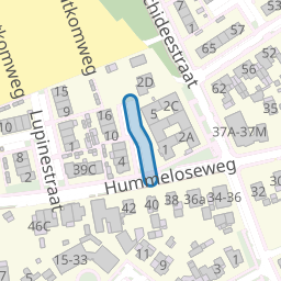 Hortensiastraat