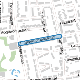 Schaepmanstraat