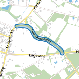 Het Hungeling