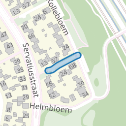 Korenbloem