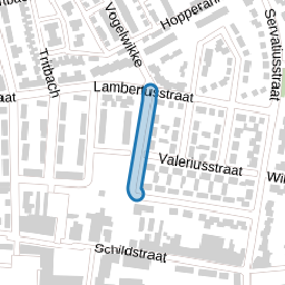 Renatusstraat