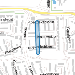 Ganzebloem