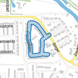 Goudsbloem