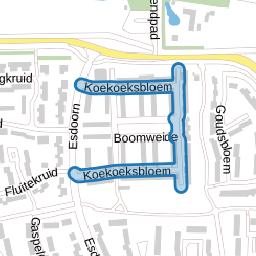 Koekoeksbloem