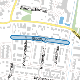 Ibisstraat