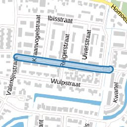 Lepelaarstraat