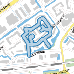 Ringspoor