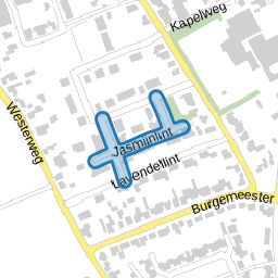 Jasmijnlint