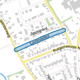 Lavendellint