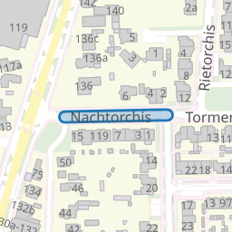 Nachtorchis