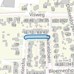 Pijlkruid