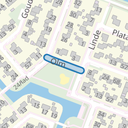 Olm