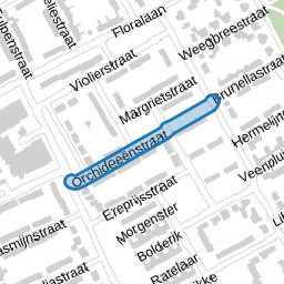 Orchideeënstraat