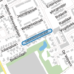 Sleedoornstraat