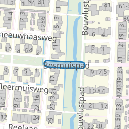 Bosmuispad