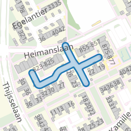 Kamperfoelie