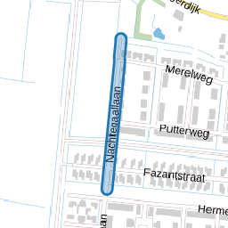 Nachtegaallaan
