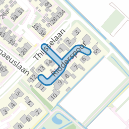 Ridderspoor