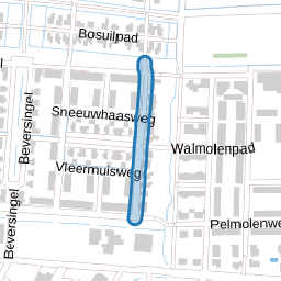 Steenbokstraat
