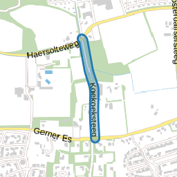 Koekoeksteeg