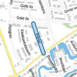 Pijlriet