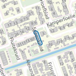 Speenkruid