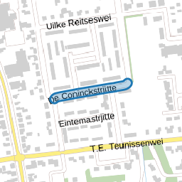 De Coninckstrjitte