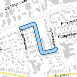 Koekoeksblom