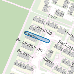Bosbes