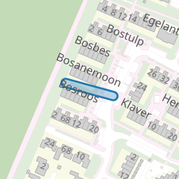 Bosroos