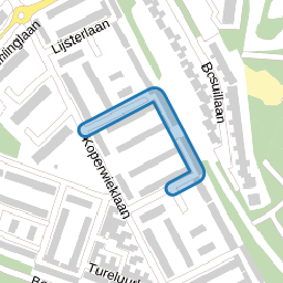 Goudhaantjeslaan