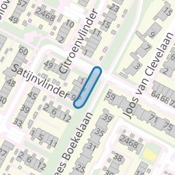 Kameelvlinder