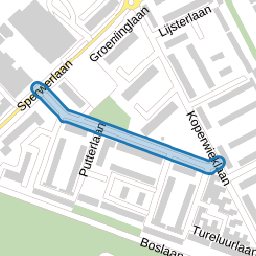 Kruisbeklaan