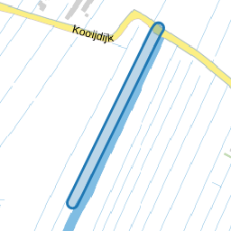 Kikkerpad